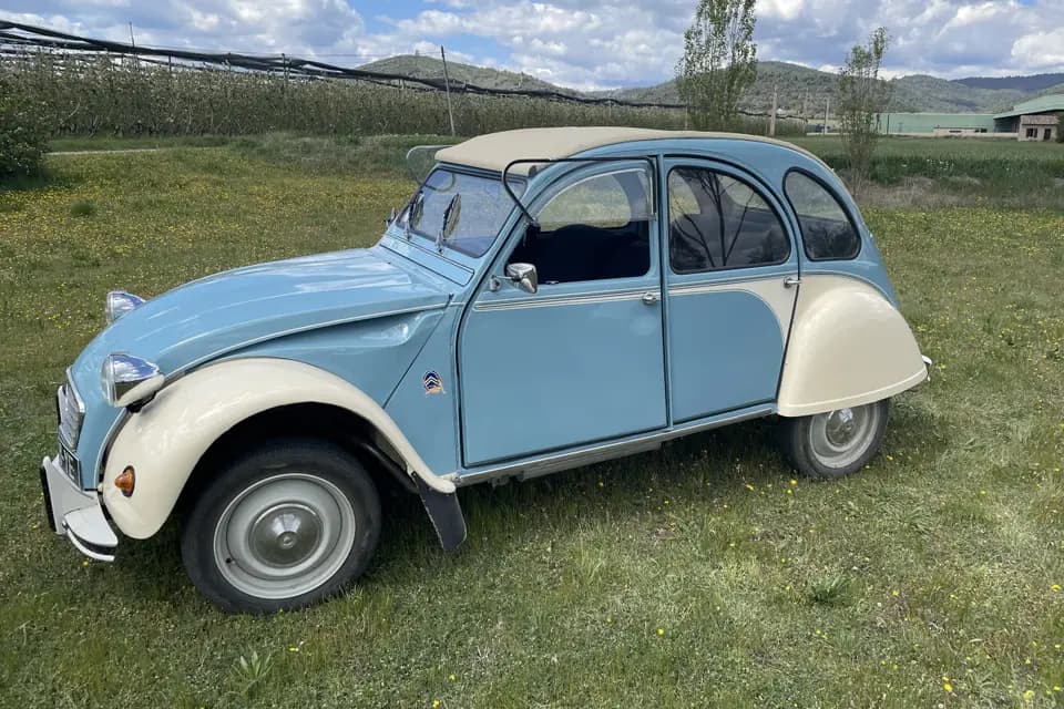 Cicetti Guillaume — photo 2