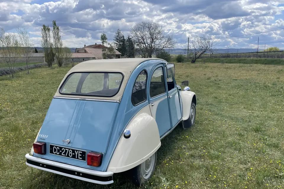 Cicetti Guillaume — photo 3