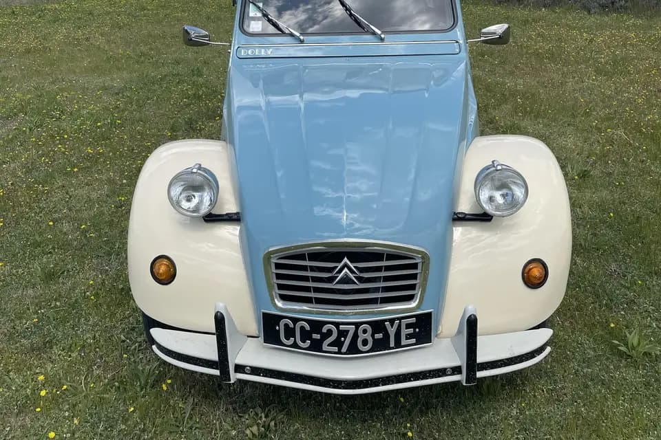 Cicetti Guillaume — photo 4