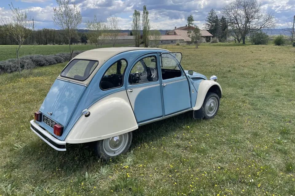 Cicetti Guillaume — photo 6