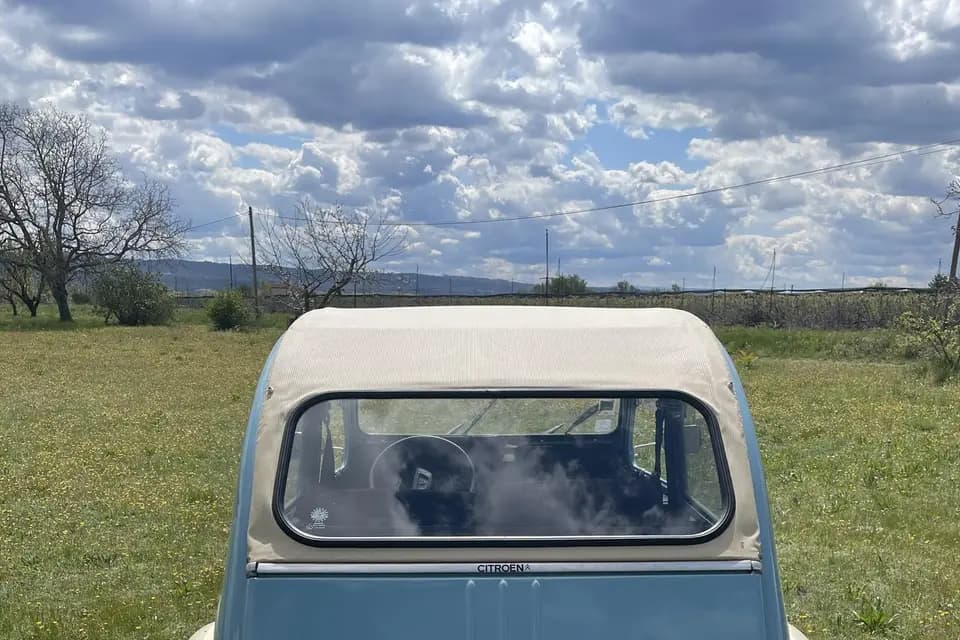 Cicetti Guillaume — photo 5