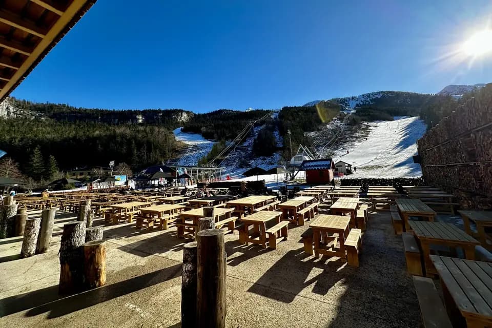 Le sapin — photo 4