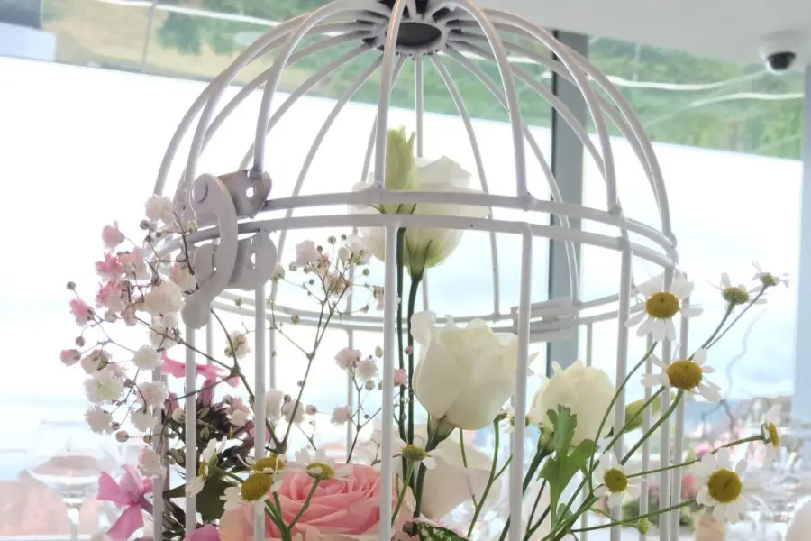 L'Atelier Vert — photo 8