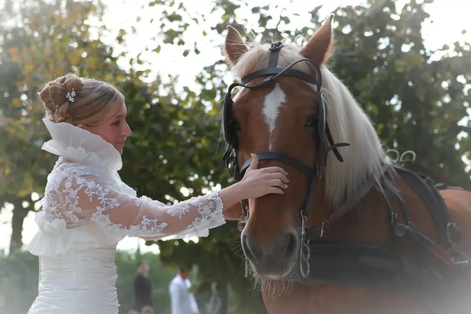 Laure Quéré — photo 1