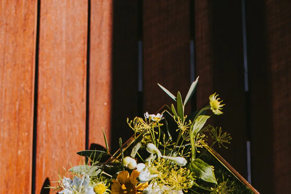 Papillon Citron — photo 1