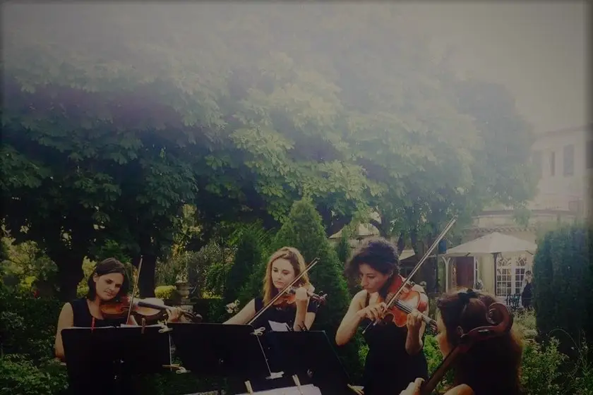 Quatuor Night Birds — photo 3