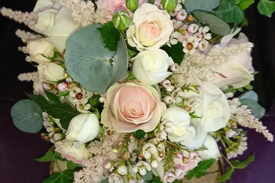 Flor&Sens — photo 4