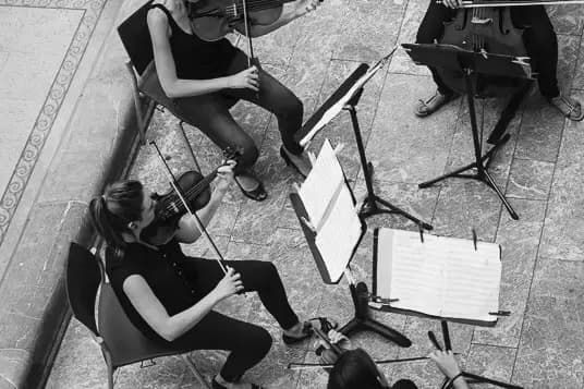 Quatuor Night Birds — photo 1