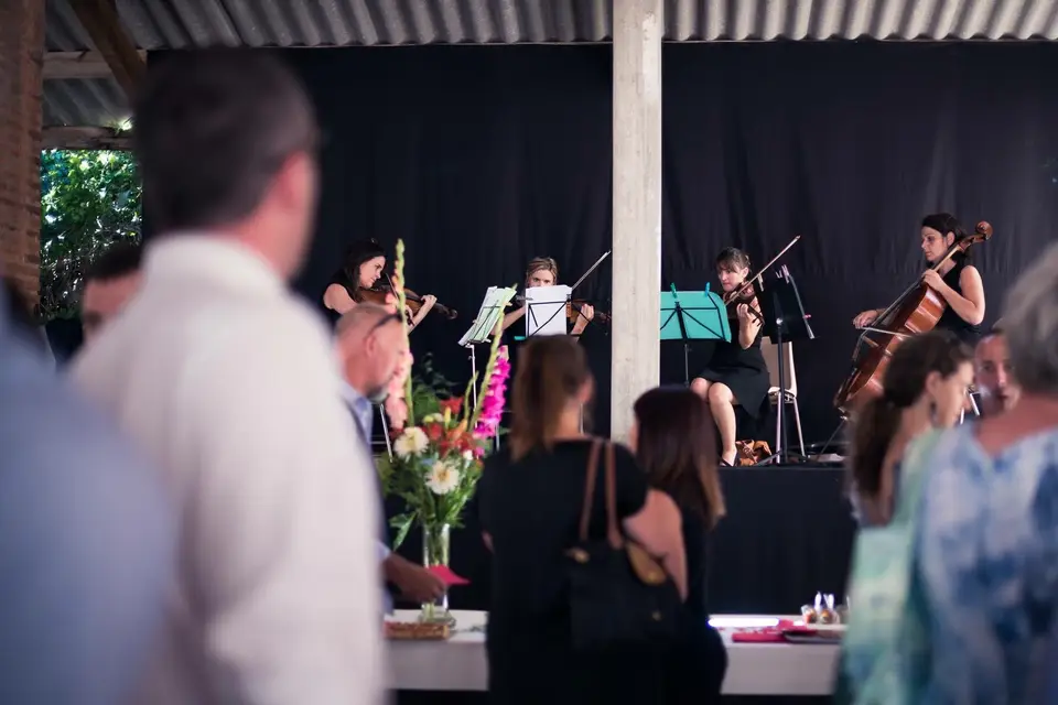 Quatuor Night Birds — photo 4