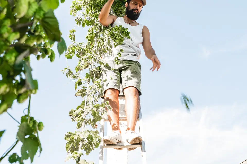 Km5 Brasserie Artisanale — photo 7