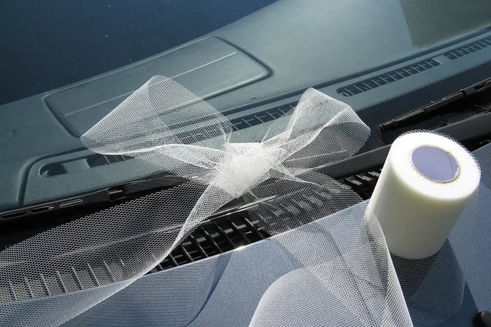 Dragées délices — photo 8