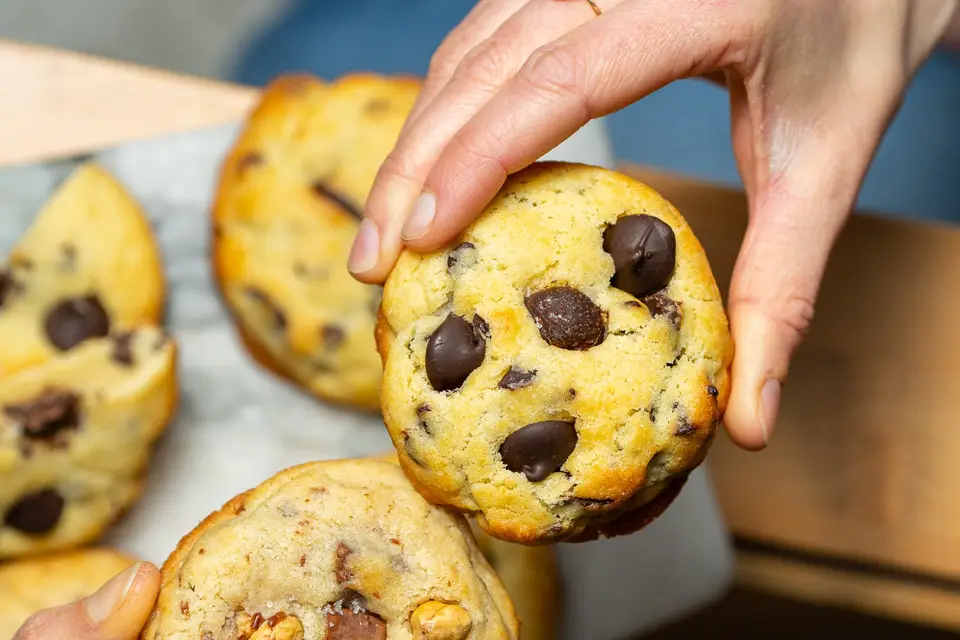 Graine de toast — photo 8