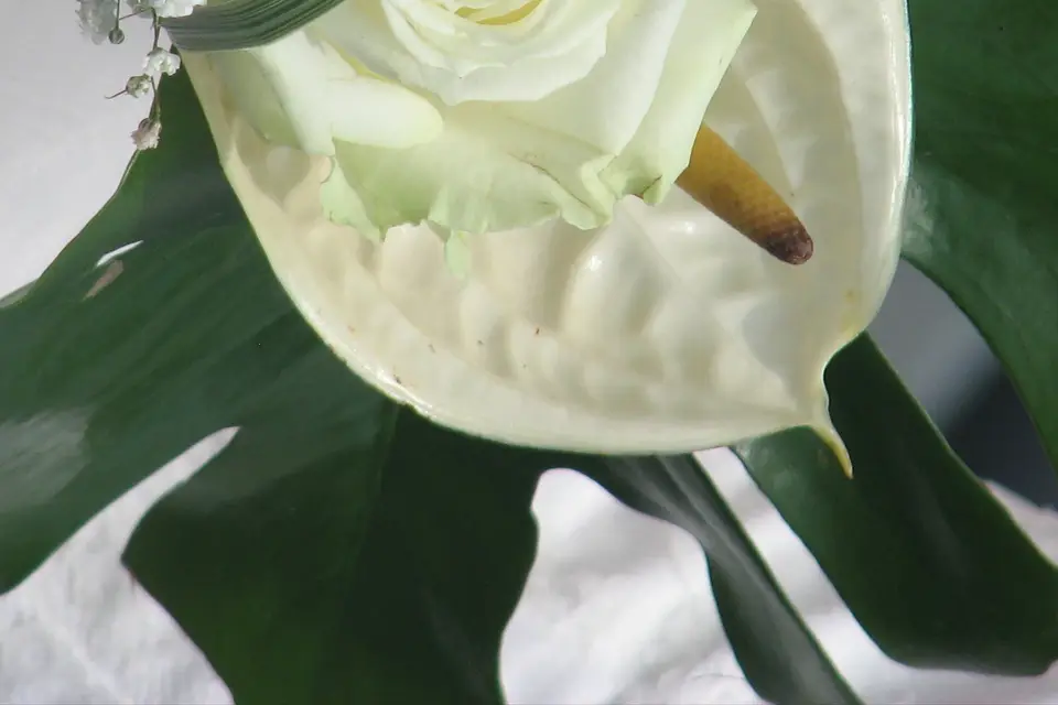 DS-Animation — photo 5