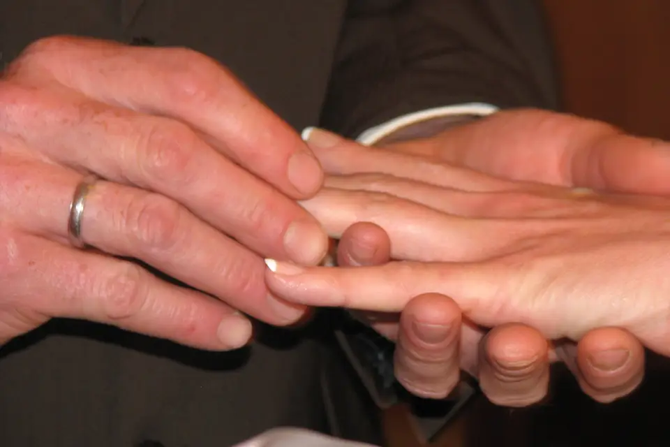 DS-Animation — photo 6