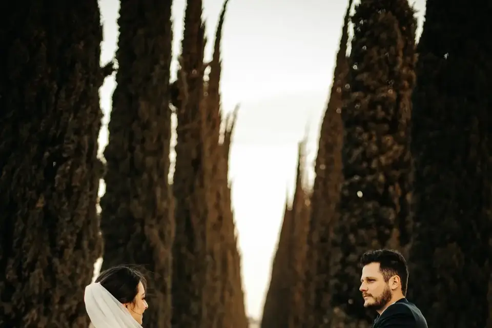 Domaine du Trusquin — photo 7