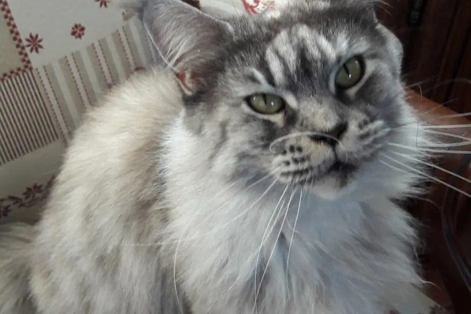 Most Esthetic par Stéphanie M.