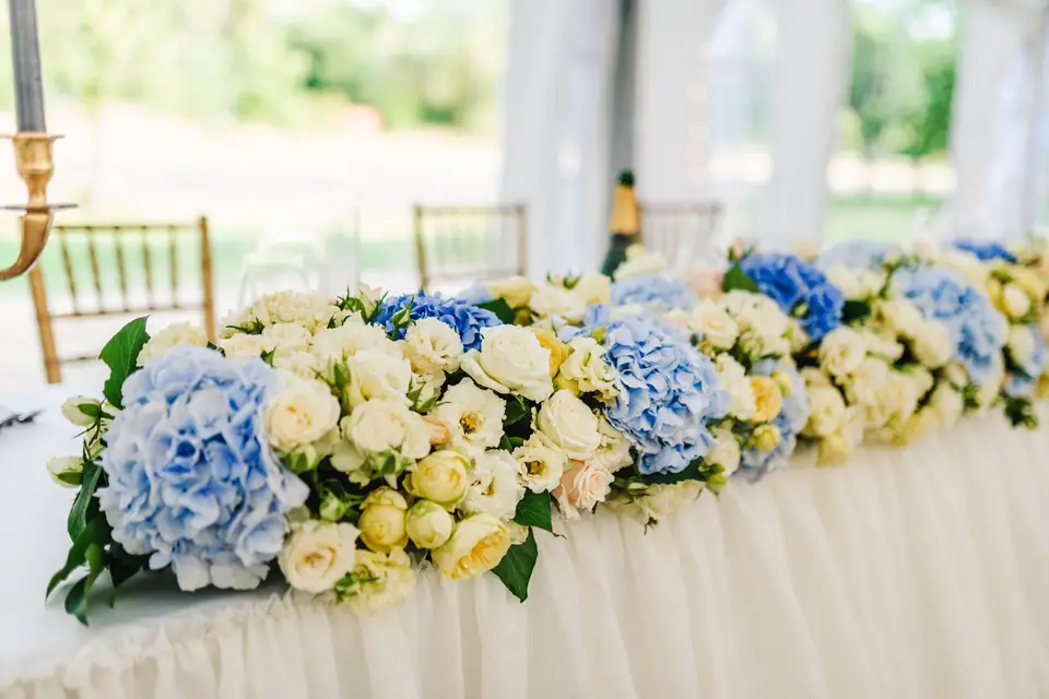 Emmy Studio — photo 6