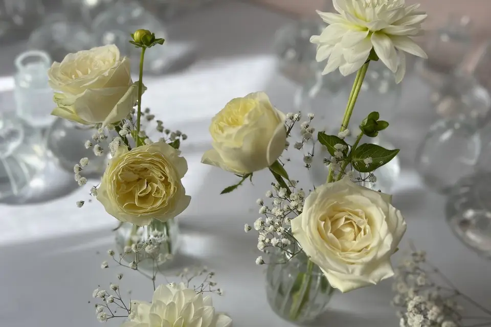 Cré’A — photo 5