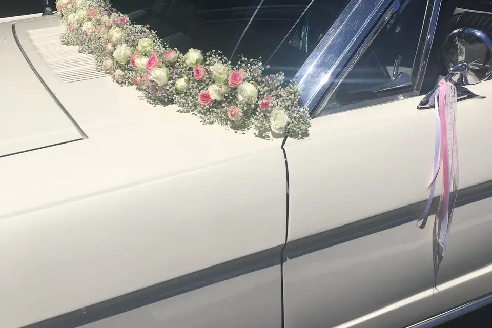 Conter Fleurette — photo 4