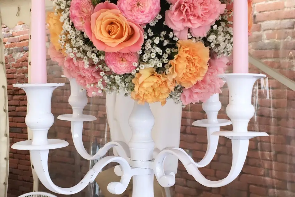 Conter Fleurette — photo 6