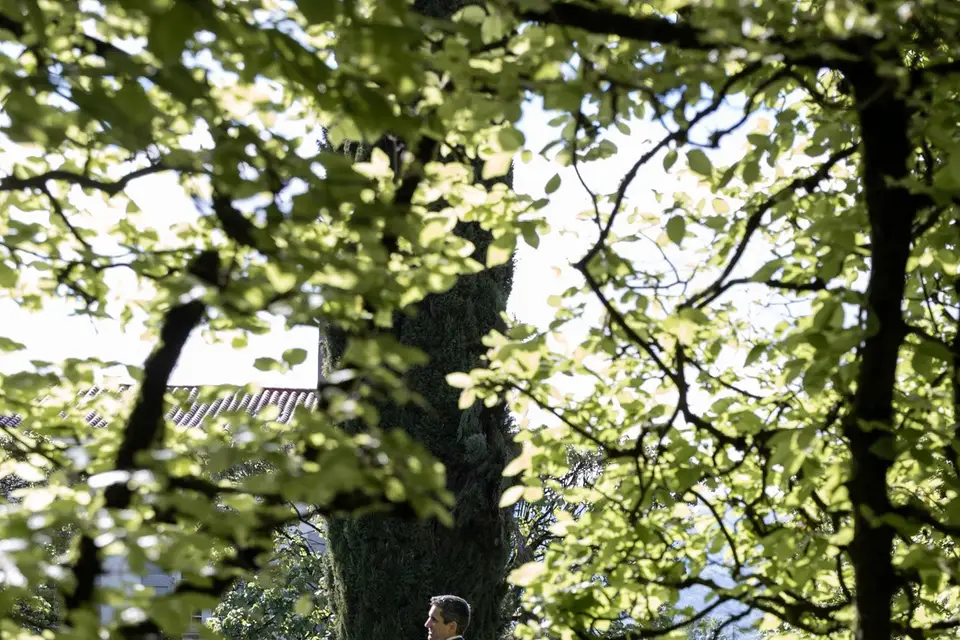 MO2 Production — photo 5