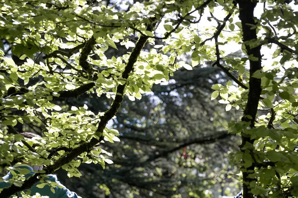 MO2 Production — photo 3