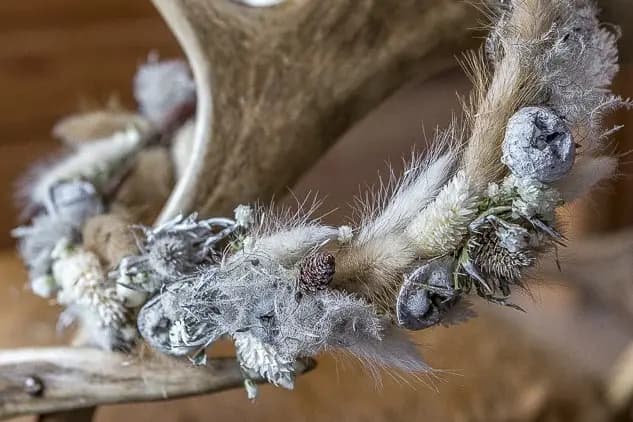 FotoStories — photo 4