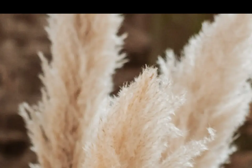 Les Sourires de Gisèle — photo 1