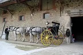 Attelage Gohin — photo 2