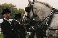 Attelage Gohin — photo 8