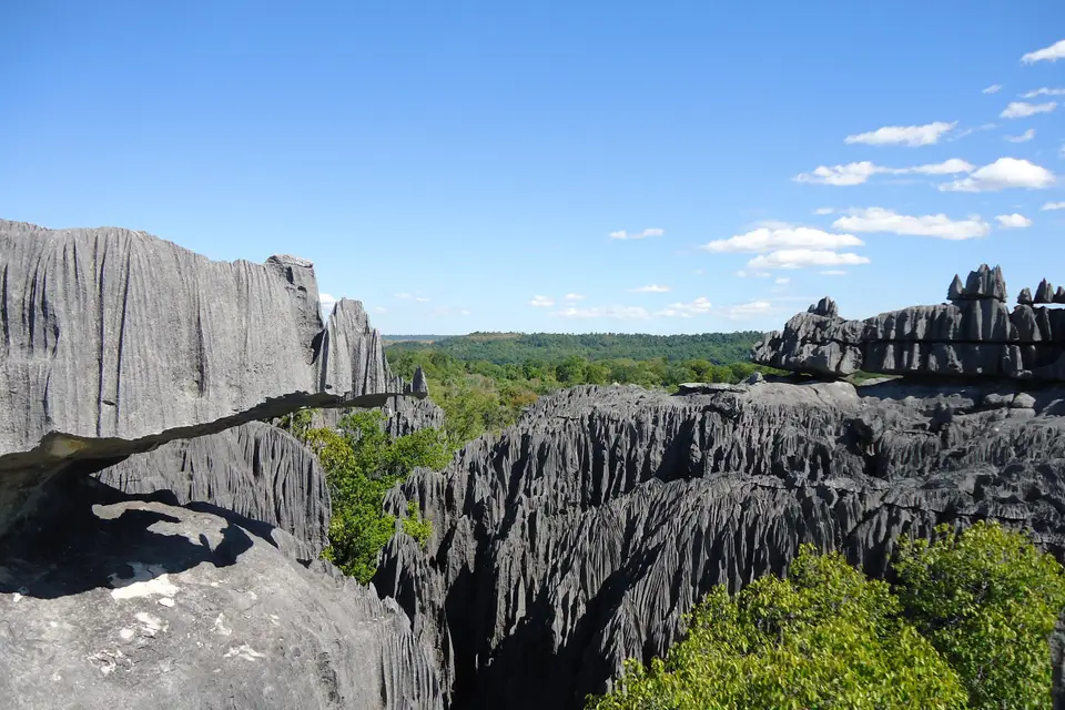 Les Eclaireurs du Voyage — photo 3
