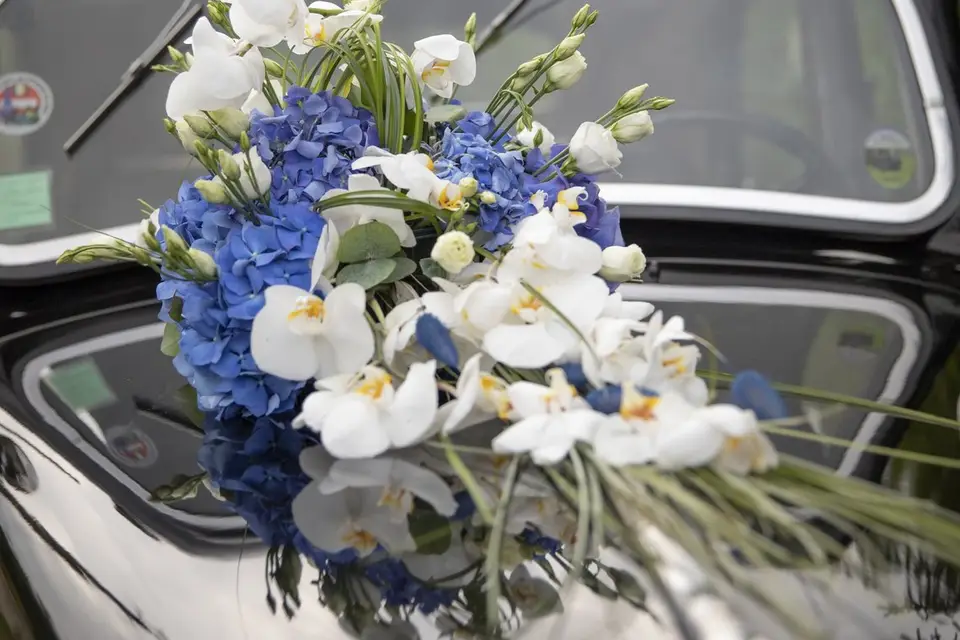 Events Shiny — photo 3