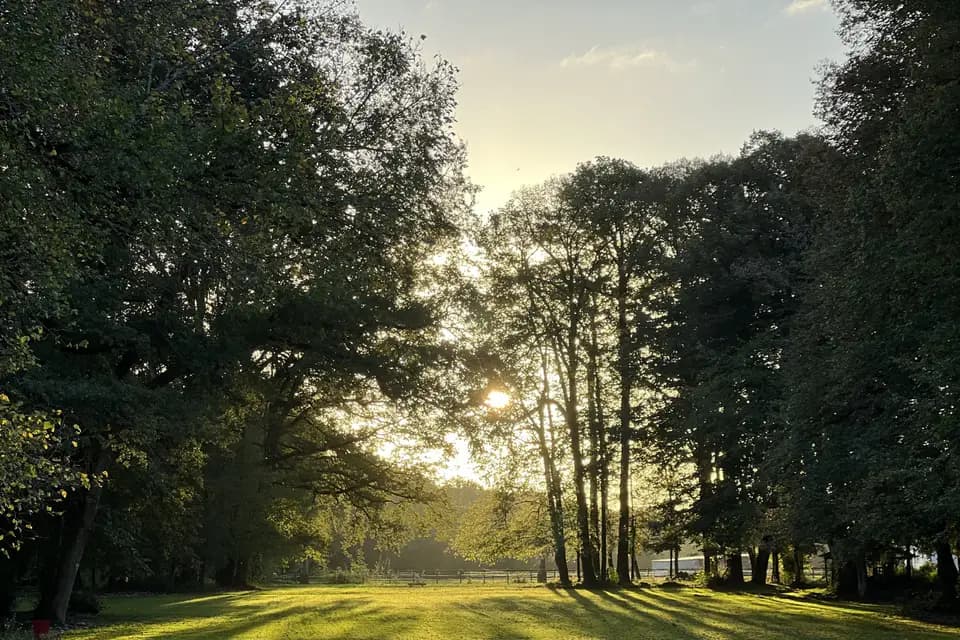 Château de la Brulaire — photo 8