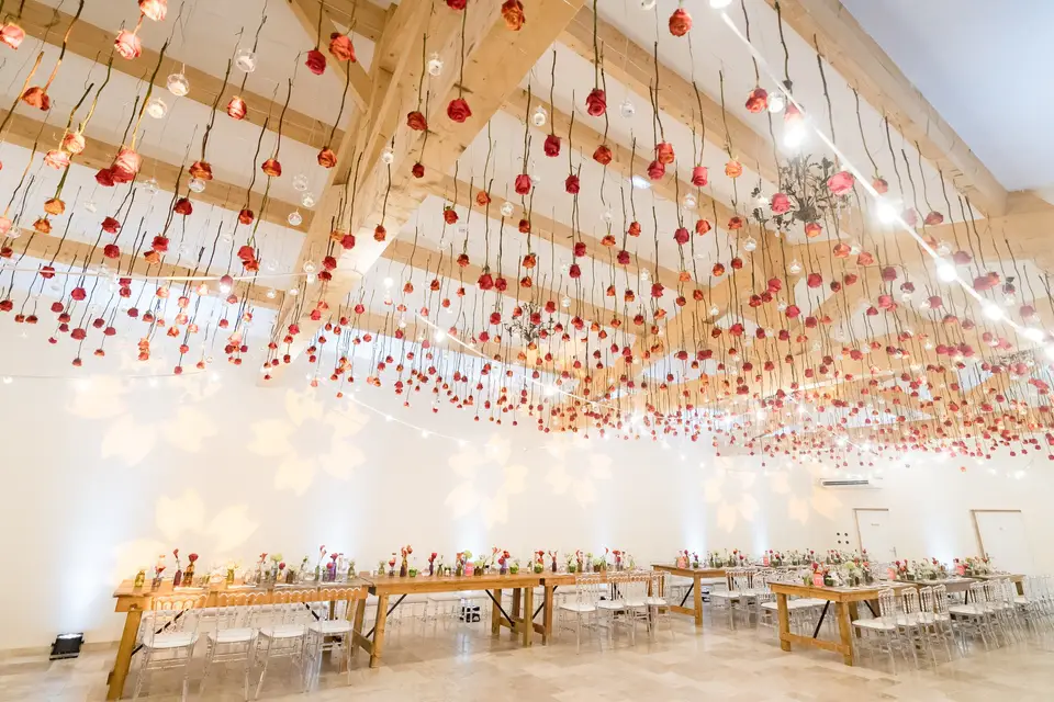 Le Domaine de Franco — photo 5