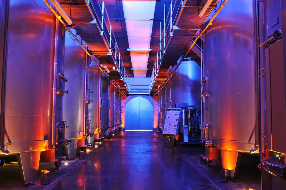 BSD Vins - Château Lafitte — photo 7