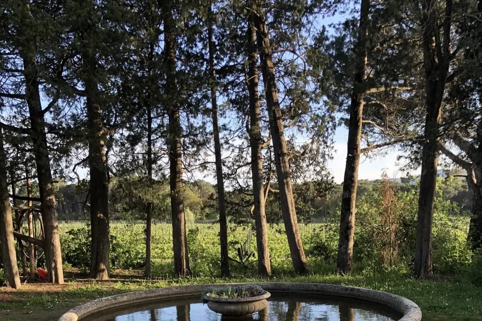 Château de Vaucouleurs — photo 5