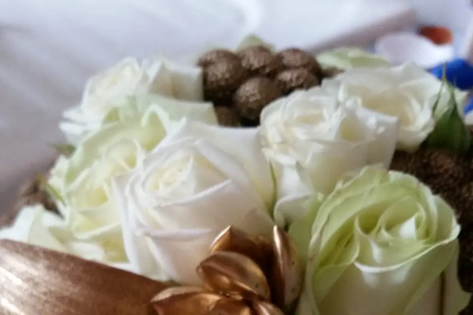 Mimesis events — photo 1