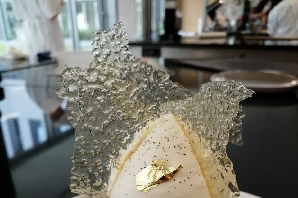 Bardy Leo — photo 7