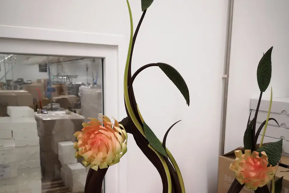 Bardy Leo — photo 2