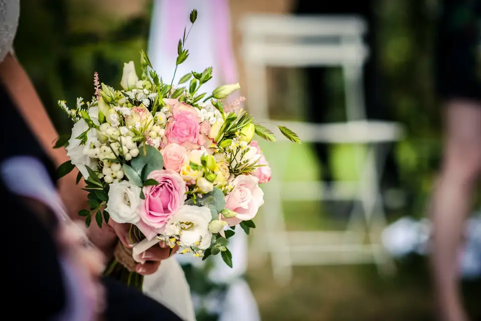 Mimesis events — photo 3