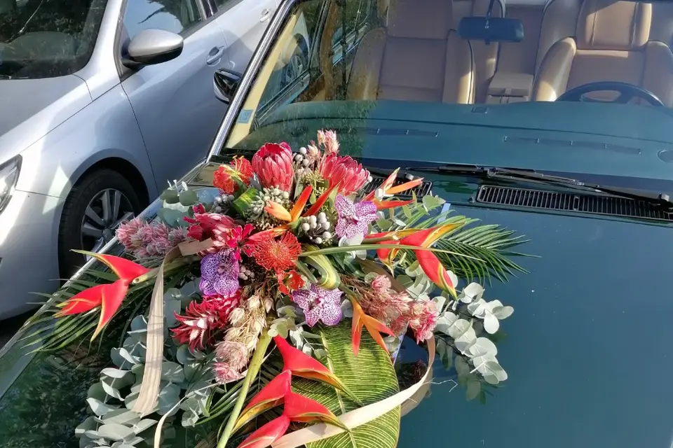 Le Petit Nice — photo 5