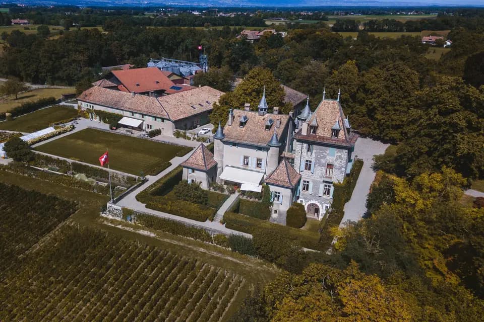 Larsen Color Film — photo 4