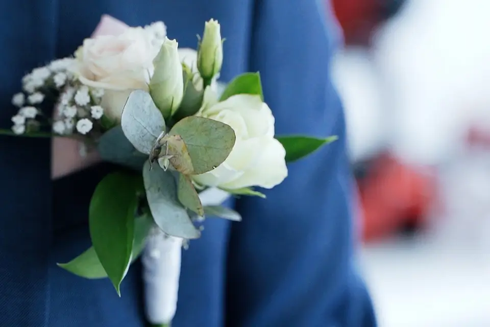 Maboiteprod — photo 2