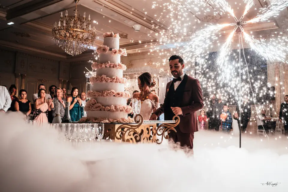 Ali Koyote — photo 6