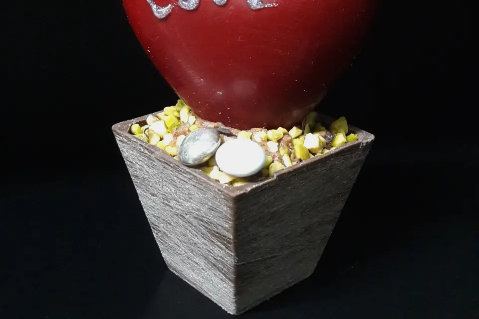 C.D.Chocolats — photo 2