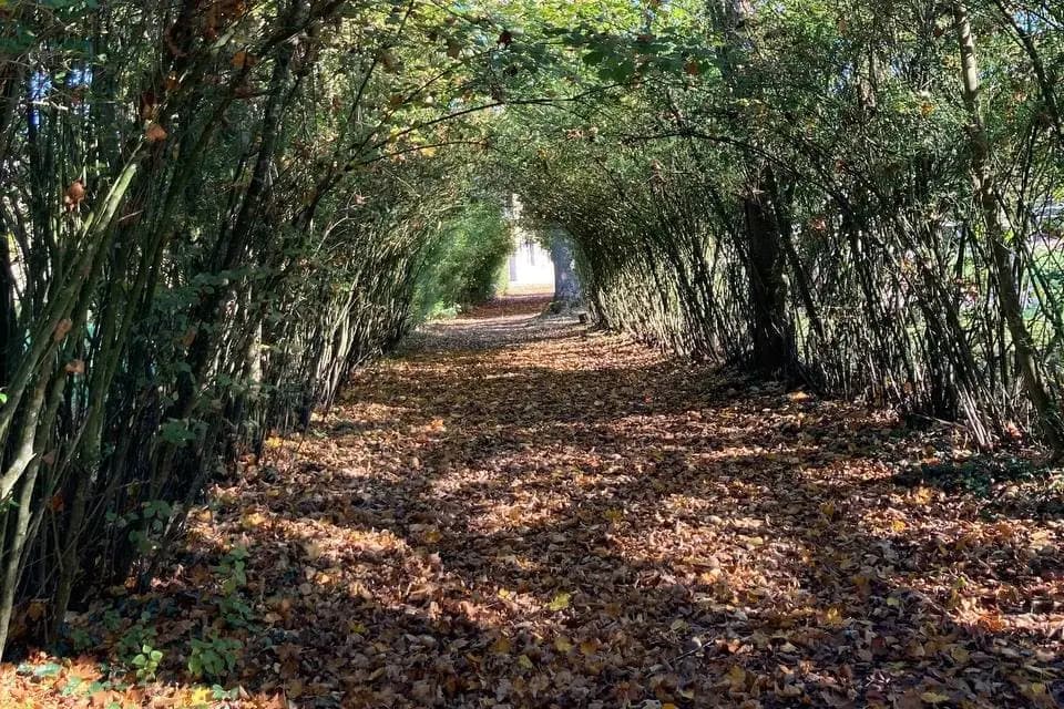 Château de Burthécourt — photo 6