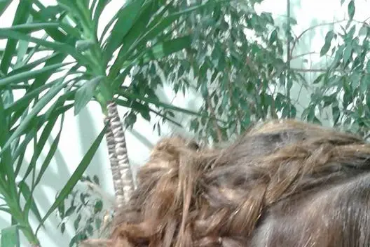 Salon Jonathan Testa — photo 5