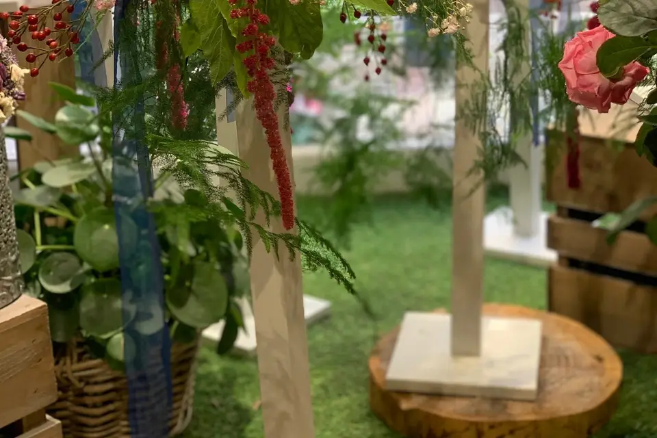 Des Fleurs aux Images — photo 5