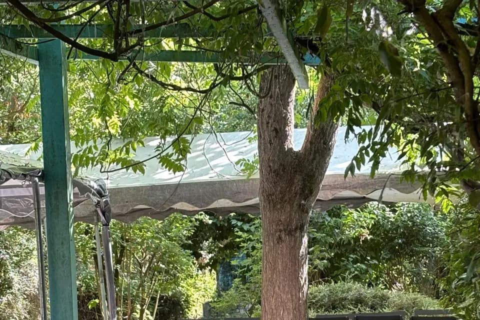 La Nouvelle Courcillière — photo 5