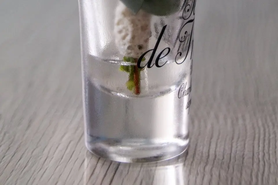 L'Œil de Mev — photo 5